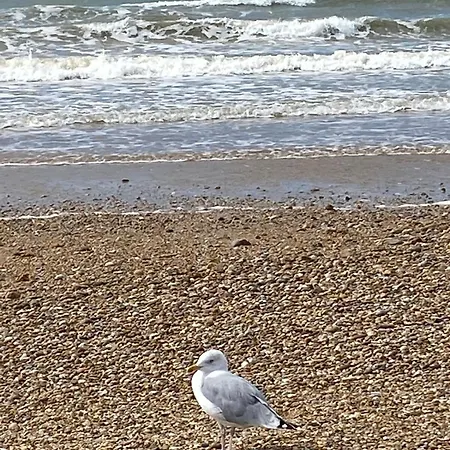 Διαμέρισμα En Bord De Mer, Tous Commerces Animations *