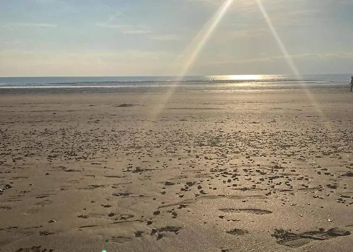 En Bord De Mer, Tous Commerces Animations