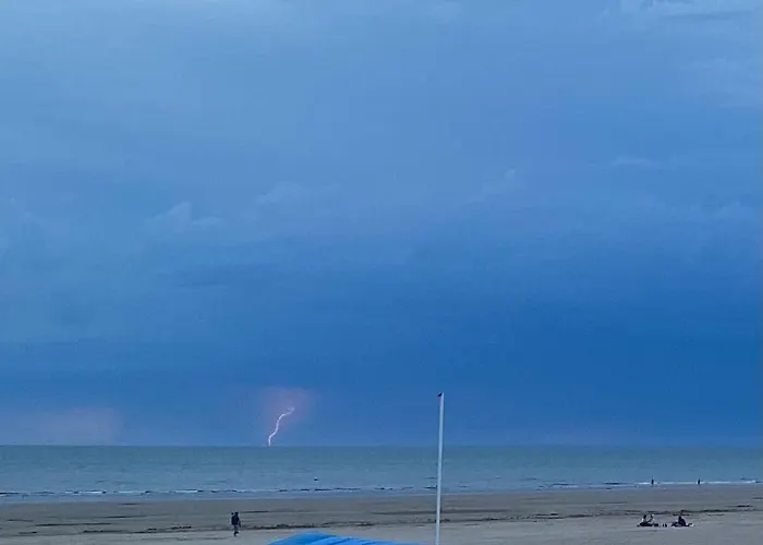 En Bord De Mer, Tous Commerces Animations *