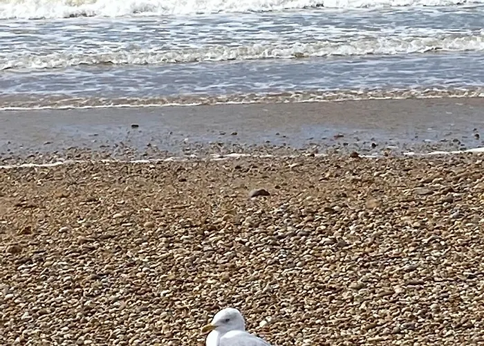 Διαμέρισμα En Bord De Mer, Tous Commerces Animations *