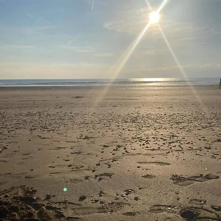 En Bord De Mer, Tous Commerces Animations